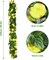 Artificial Morning Glory Flower Vines, 2pcs 15Feet Hanging Plants Silk Garland Fake Green Plant Home Garden Wall Fence Indoor Outdoor Wedding Birthday Decor
